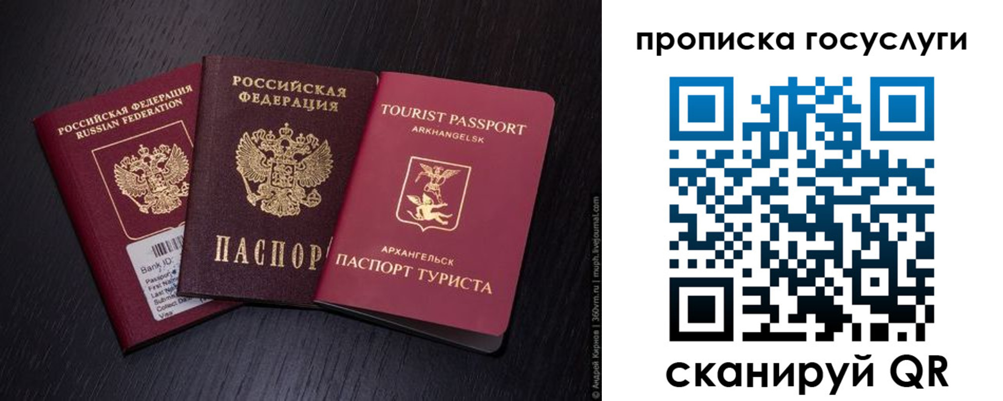 прописка 2025 в Фрязино